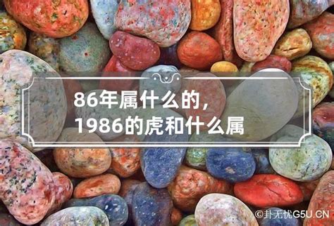 1986年属相|1986年属什么生肖